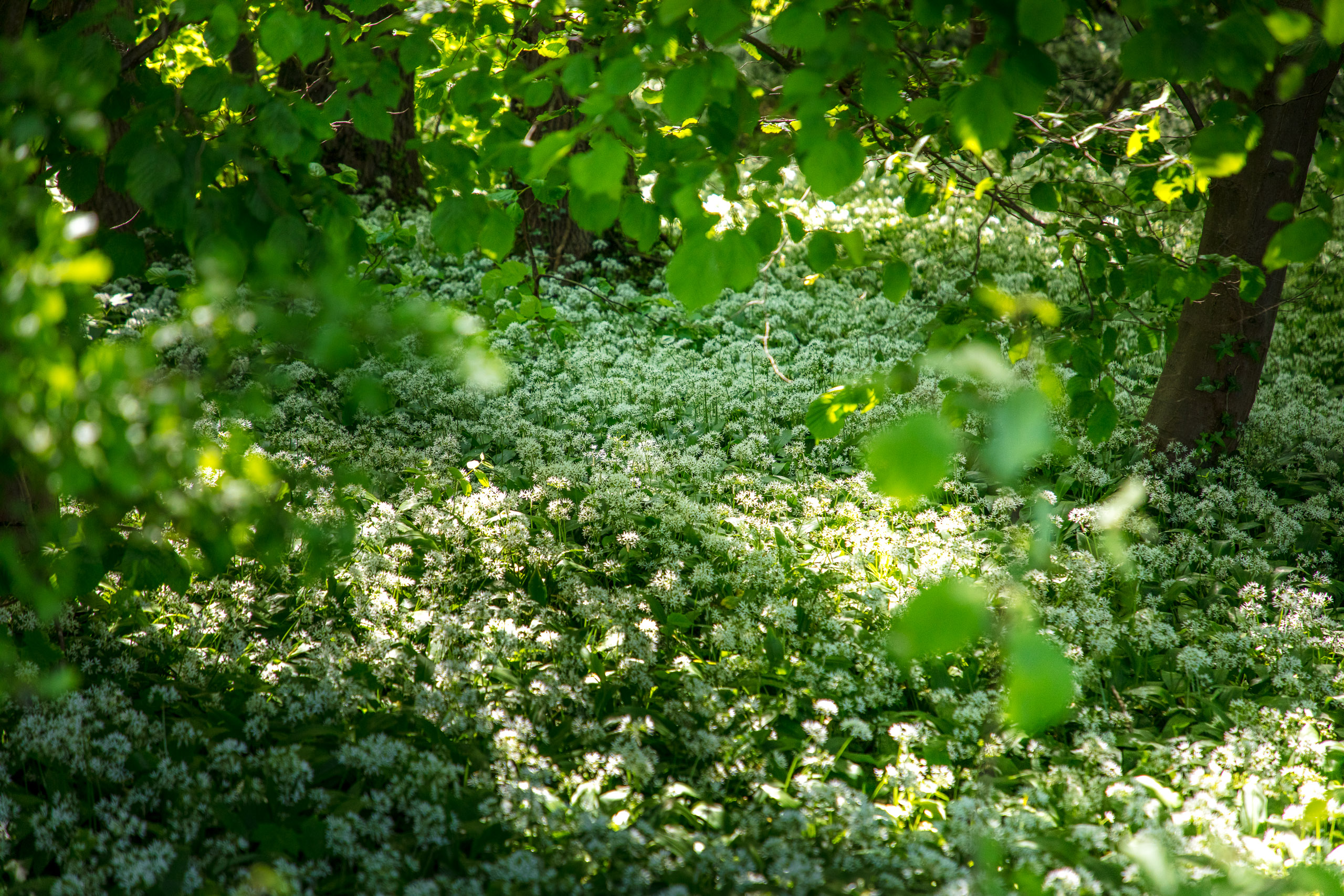 20220508124544 DP017530 2